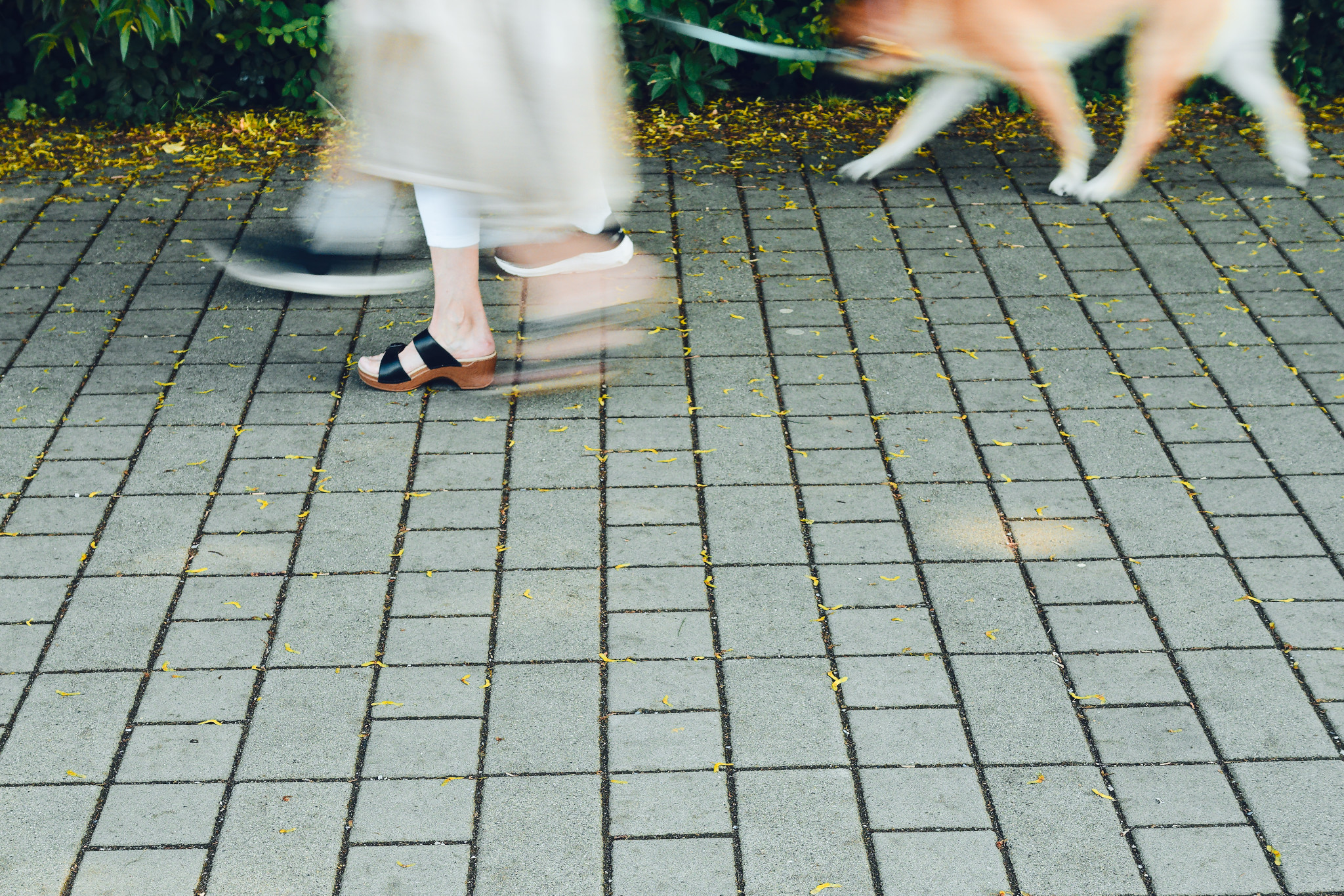 Income, Outgo, and Becoming One with the Blur