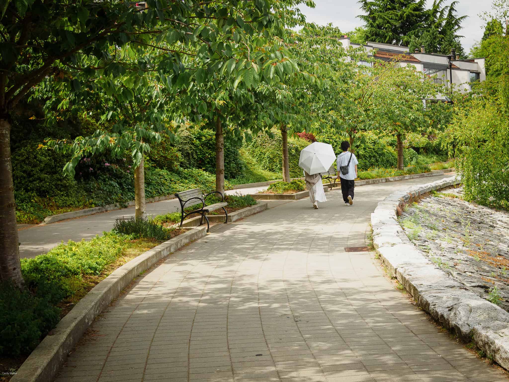 Summer Stroll