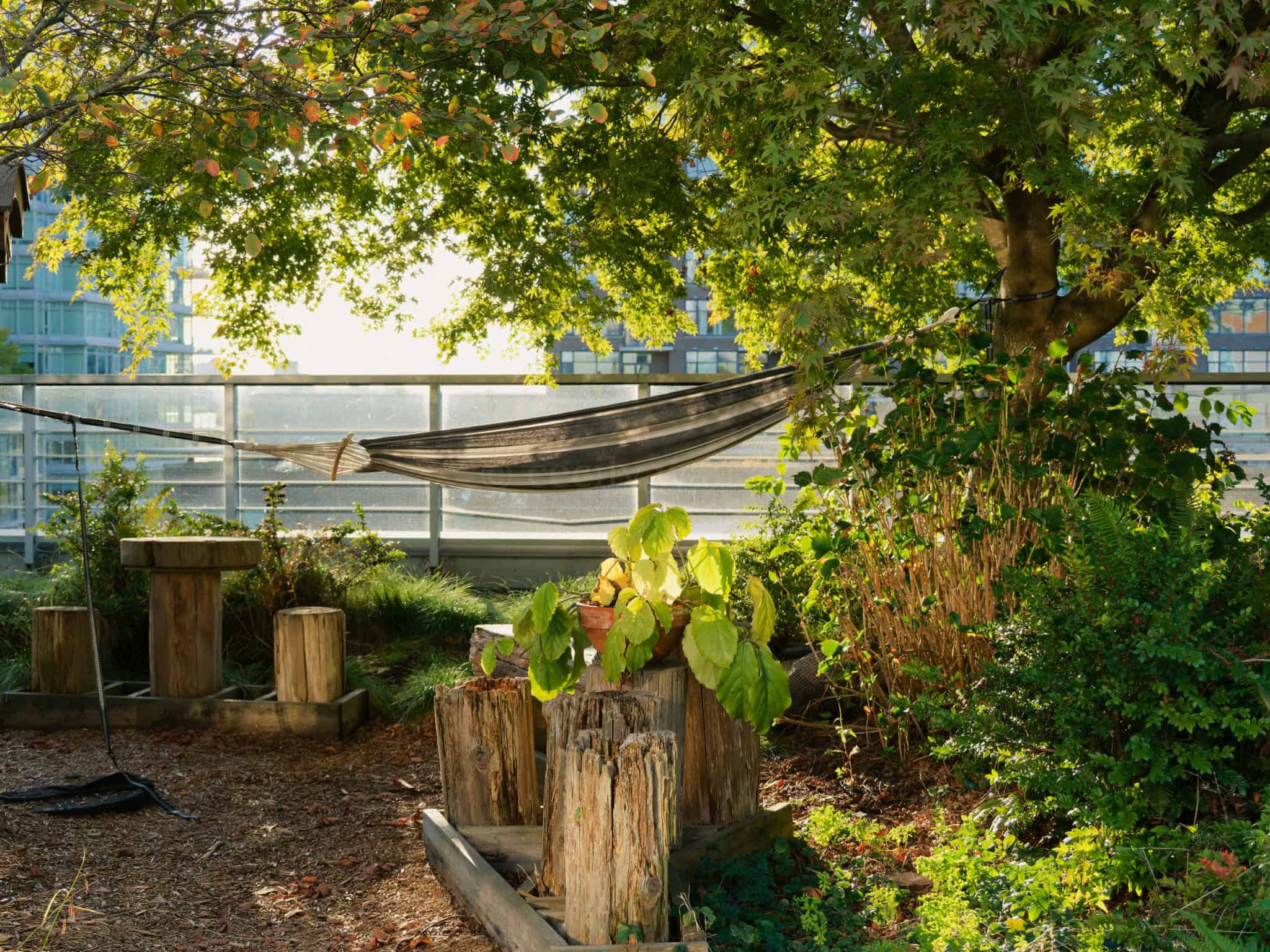 City garden with hammock, wooden stumps, and lush greenery.